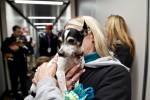 Hurricane Sandy Animals Flown To Safe Haven On Southwest Airline