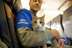 Hurricane Sandy Animals Flown To Safe Haven On Southwest Airline