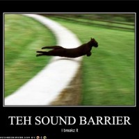 catounsdbarrier46