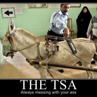 Taken from Page 2 int he leaked TSA manual.