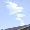 challenger-amateur-100