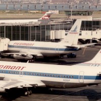 pied_737_0325