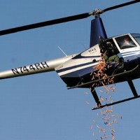 Hot dog copter in action. (Photo by David Coates/The Detroit News)