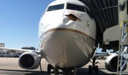 United Flight 1475 hit a big bird near Denver. (Photo via Twitter)