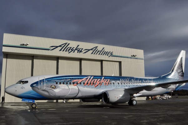 Alaska Airlines reveals its fish-patterned Boeing 737-800 (N559AS) dubbed "Salmon-Thirty-Salmon II." (Photo by Alaska Airlines)