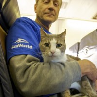 O hai. Hurricanes suck. (Photo by Southwest Airlines)