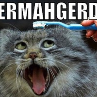 This is a scary toothbrush.