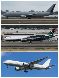 UNGA Bigger Birds