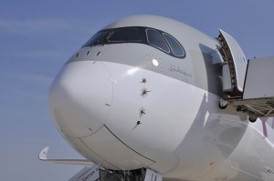 QR-A350-Nose
