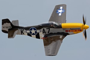 qs29