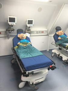 A view of the Pre and Post Op Room 