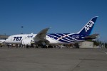 787 wide view.
