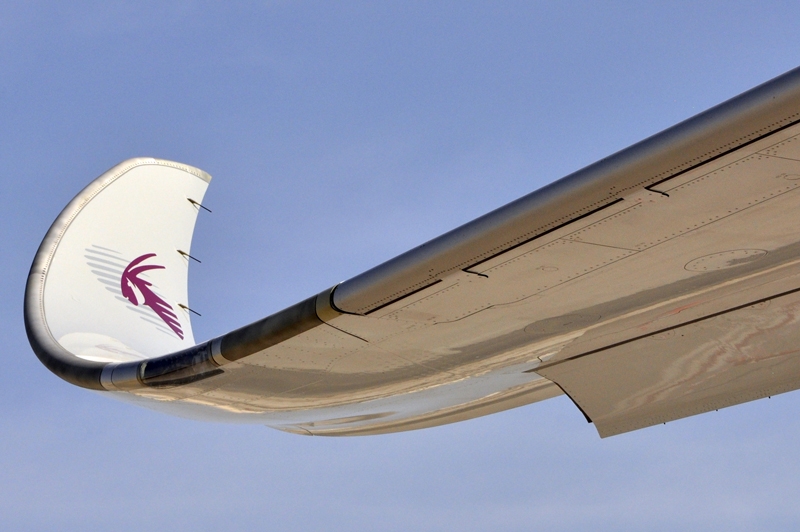 qr-a50-curved-wing