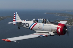 Geico Skytypers