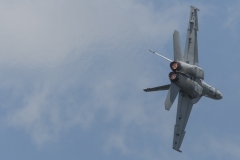 F/A-18F