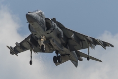 Harrier