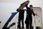 Alaska pilot Trent Davey holds up a 55 pound Copper River salmon with first officer Andy Kullick (Photo by Jeremy Dwyer-Lindgren/NYCAviation)
