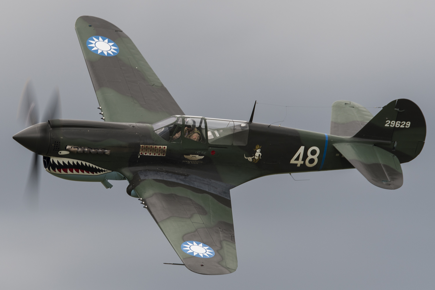 A P-40 Warhawk from the Commemorative Air Force