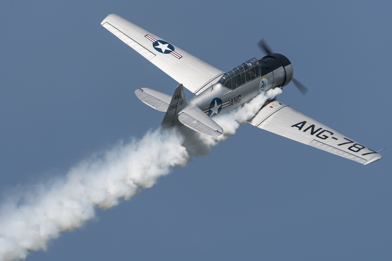 A T-6 Texan pulling up at the end of a photo pass