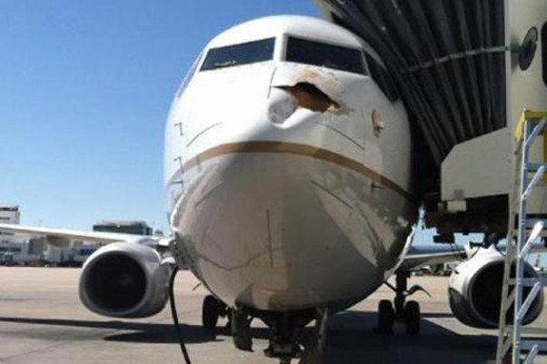 United Flight 1475 hit a big bird near Denver. (Photo via Twitter)