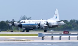 Kermit lands in Fort Lauderdale. (Photo by Mark Lawrence)