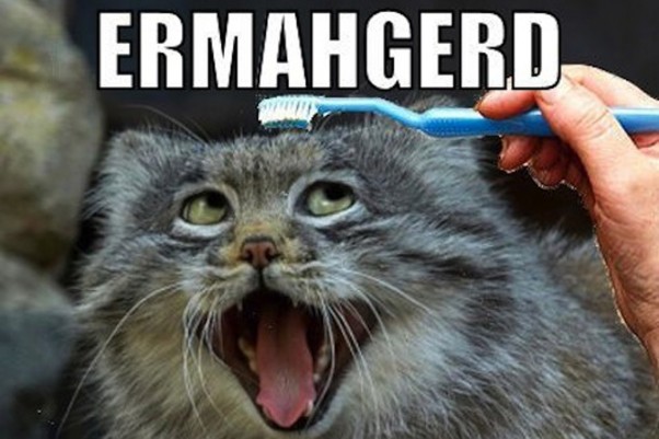 This is a scary toothbrush.