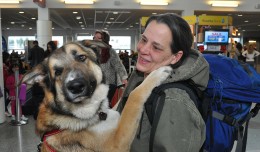 Thor at the airport. (Photo by Alaska Airlines)