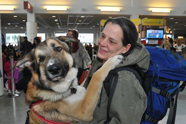 Thor at the airport. (Photo by Alaska Airlines)